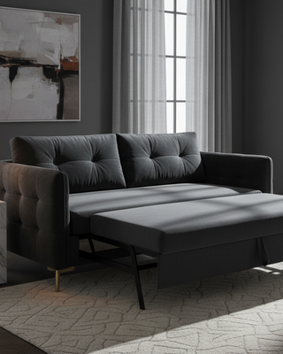 Sleeper Sofa