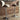 Ashley D120-630 Bellatier White Barstool Set
