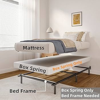 Fundación Estándar