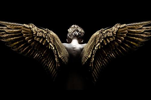 Vidrio templado con lámina – Wing Spread