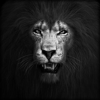 Temp Glass w/Foil -Lion B & W