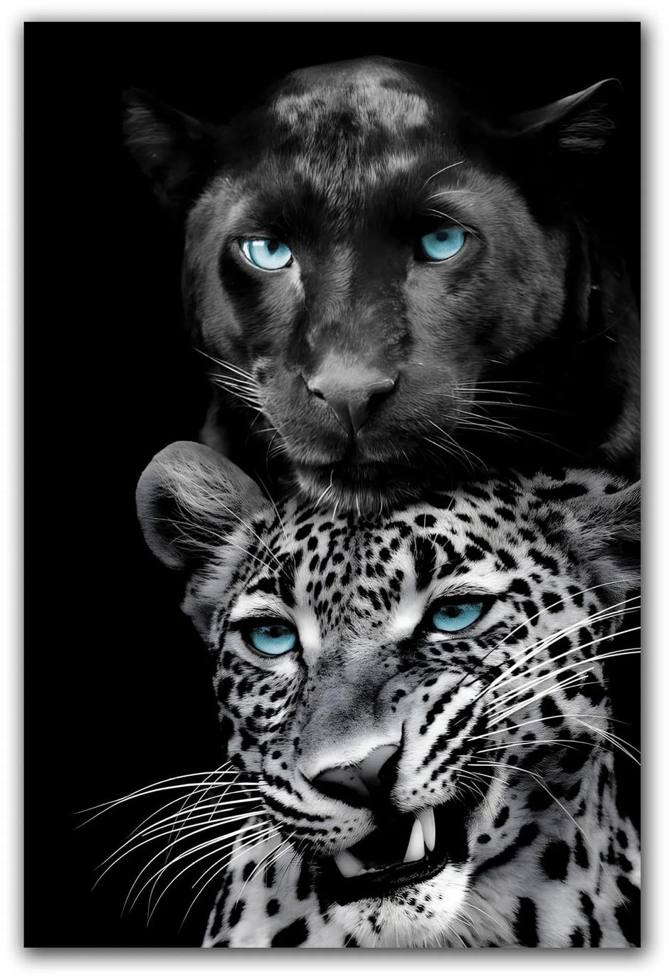 Vidrio templado "Los grandes felinos también juegan"