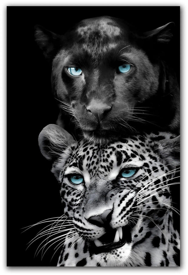 Vidrio templado "Los grandes felinos también juegan"