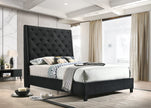 5265 CAMA CHANTILLY